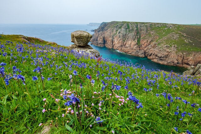 flowers in mousehole