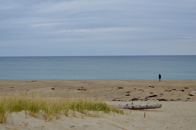 person on the beach