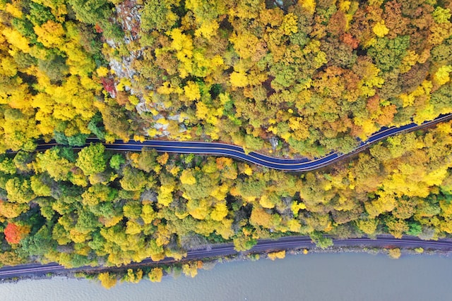 road in the cornwall