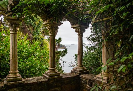 st mawes view through green plants